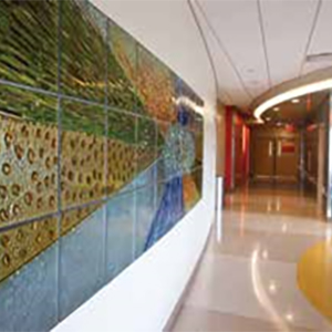 Designing Hospitals for Quiet Recovery-01.jpg